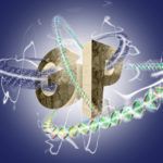 大阪大学　GP1
